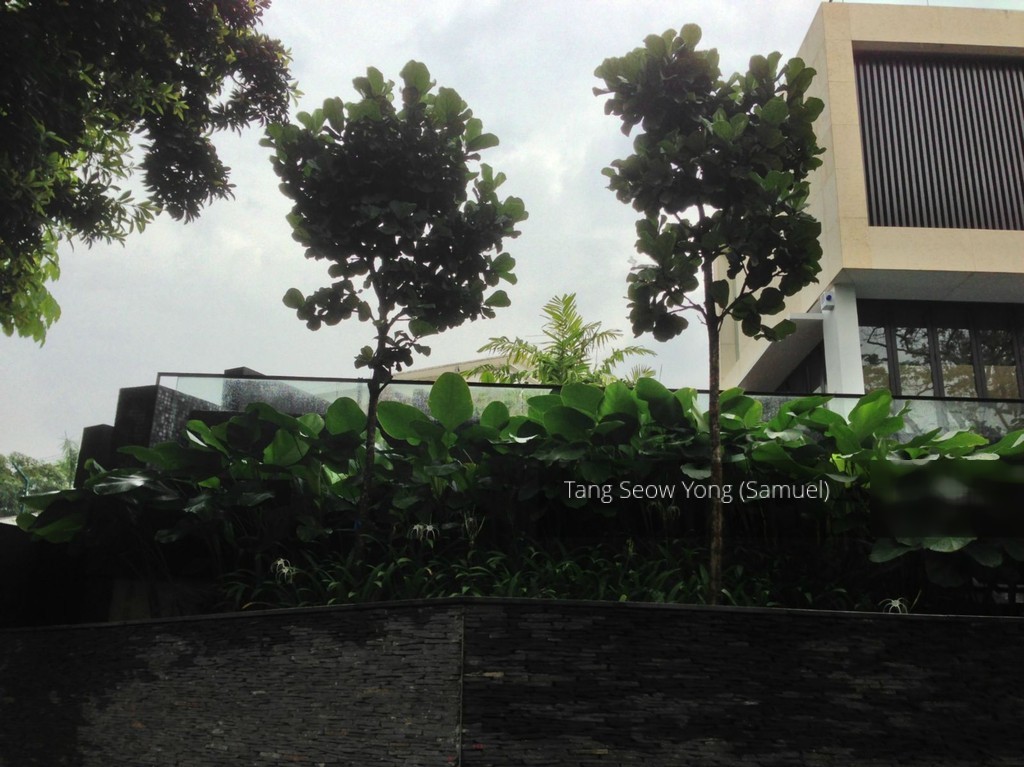 Dunearn Estate thumbnail photo